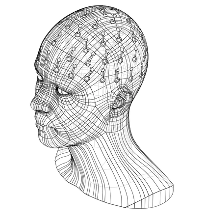 Conductive head phantom for validating TI stimulation technology